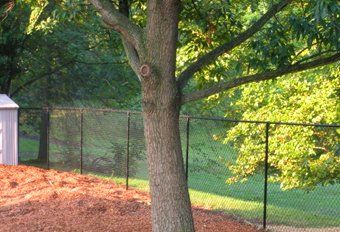 chain link fence - custom fences in Rockville, MD chain link fence - custom fences in Rockville, MD