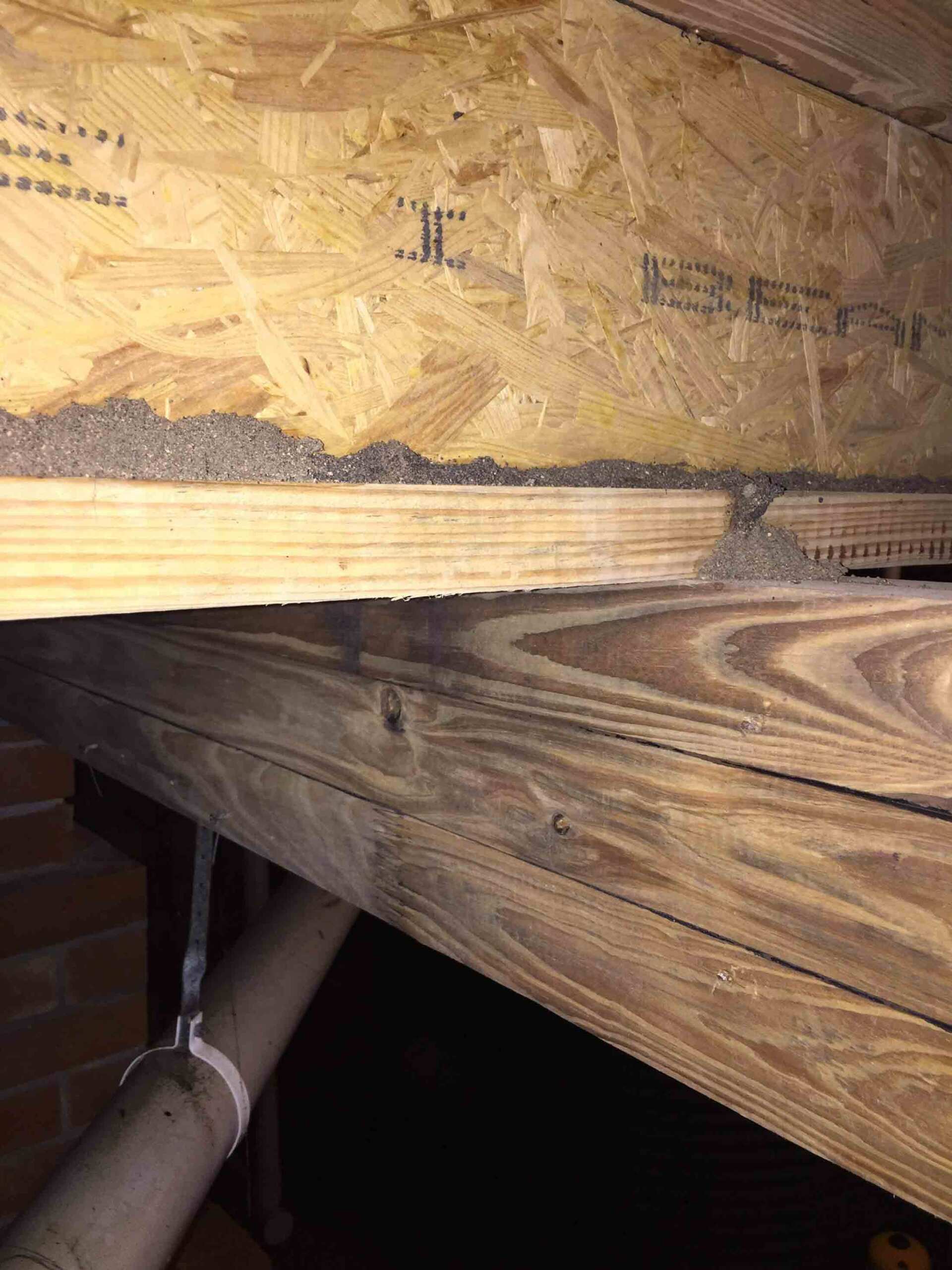 Termites Outside the Wood — Pest Control In Port Macquarie, NSW
