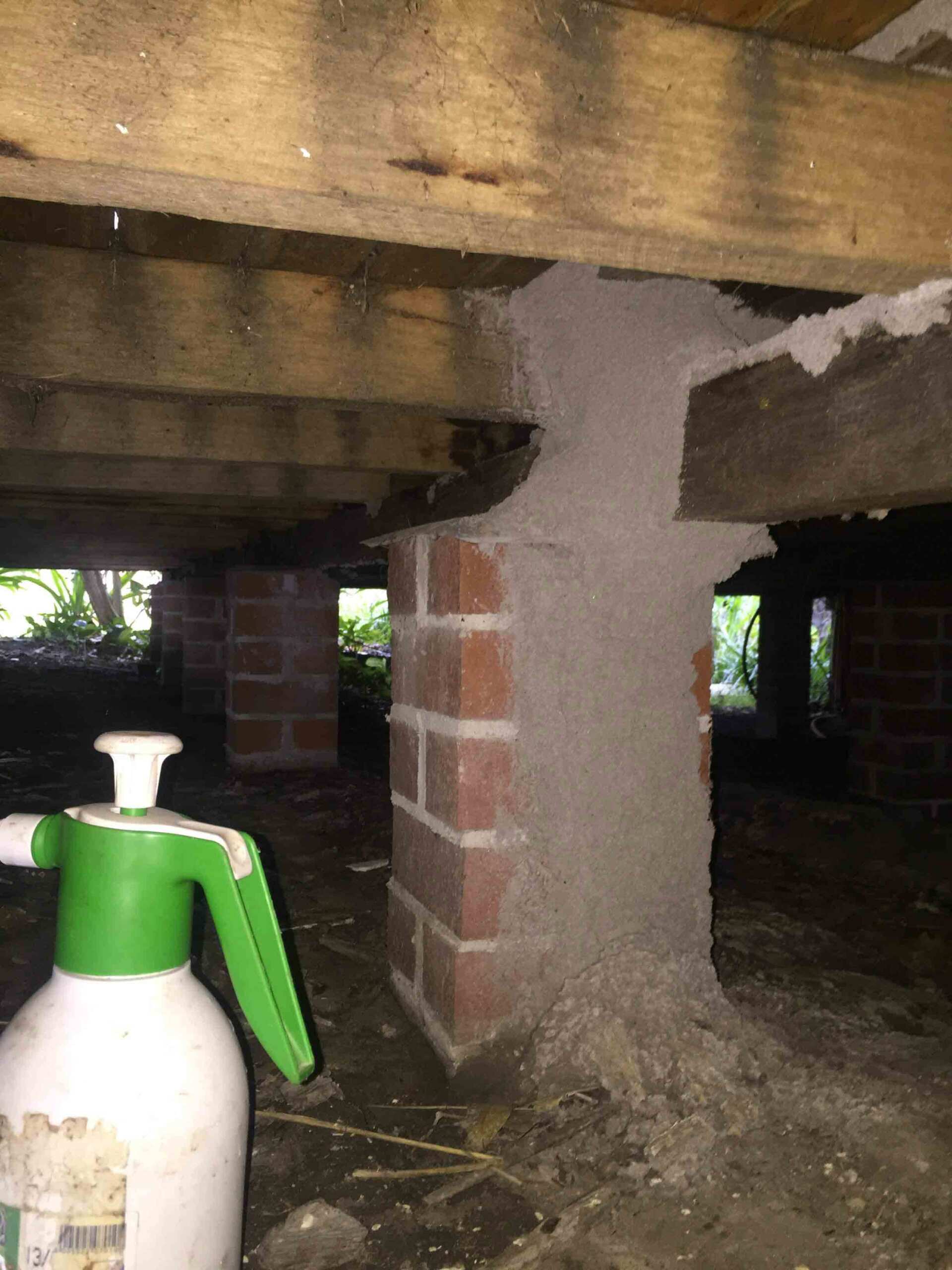 Termites Under the House — Pest Control In Port Macquarie, NSW