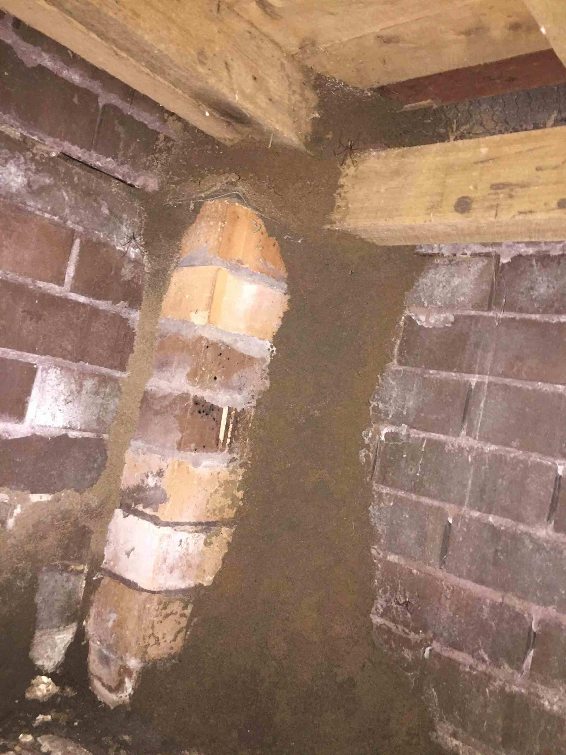 Termites on the Brick Wall — Pest Control In Port Macquarie, NSW