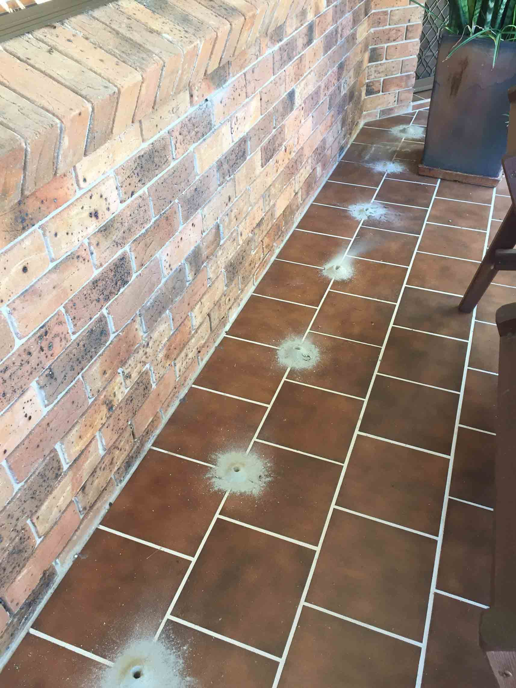Pests on the Floor — Pest Control In Port Macquarie, NSW