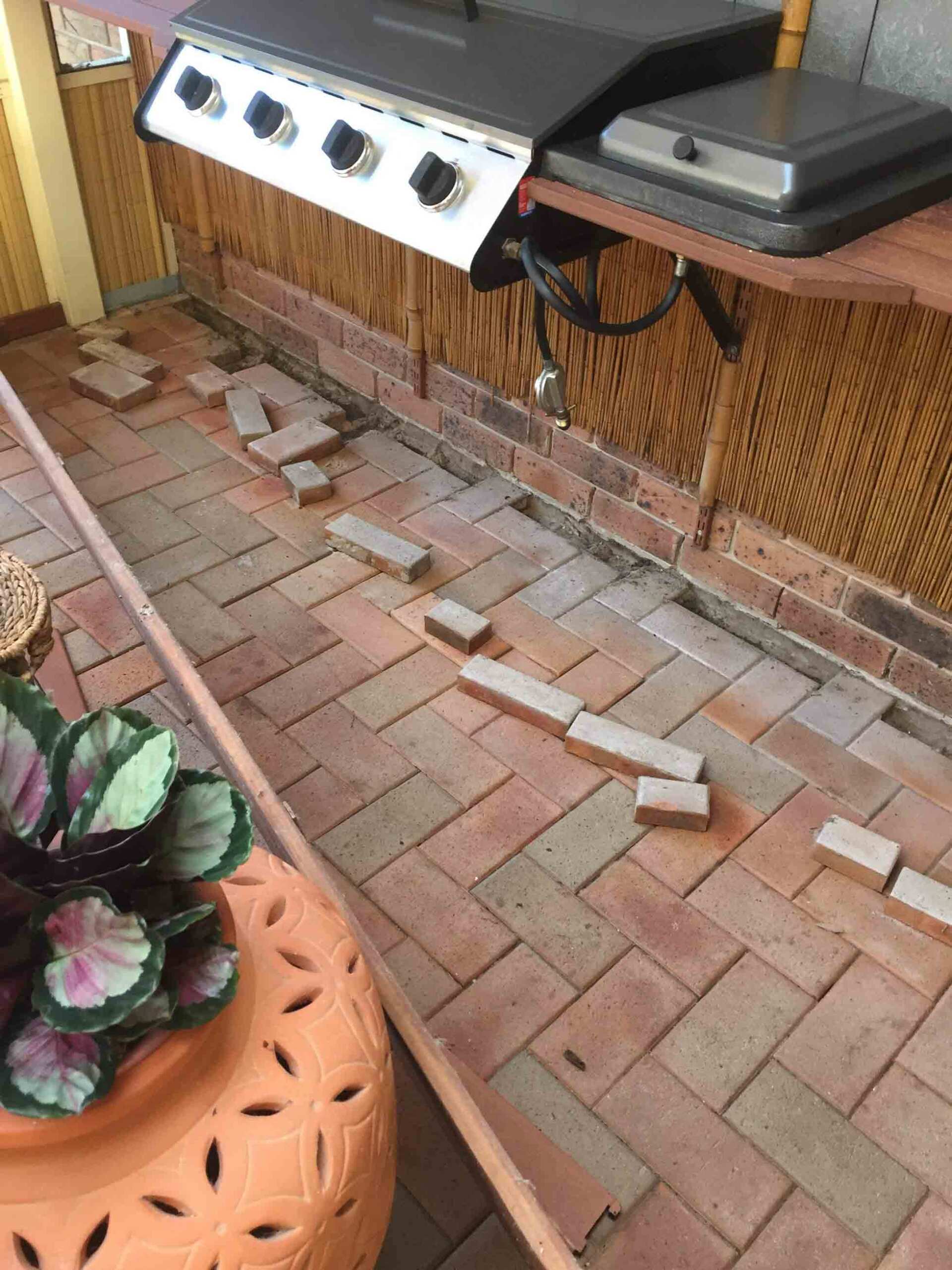 Pests on the Brick Floor — Pest Control In Port Macquarie, NSW