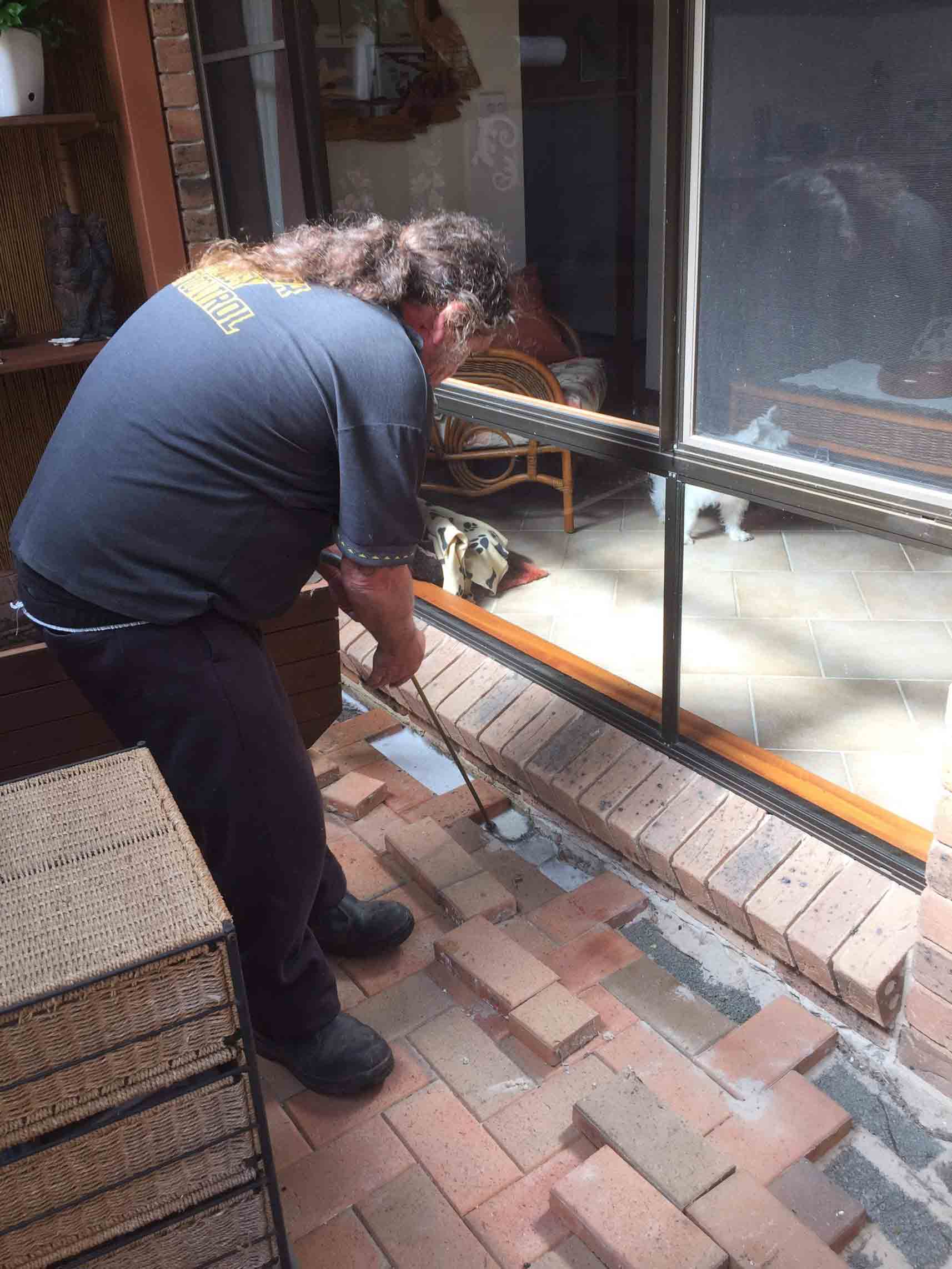 A Man Spraying the Termites on the Floor — Pest Control In Port Macquarie, NSW
