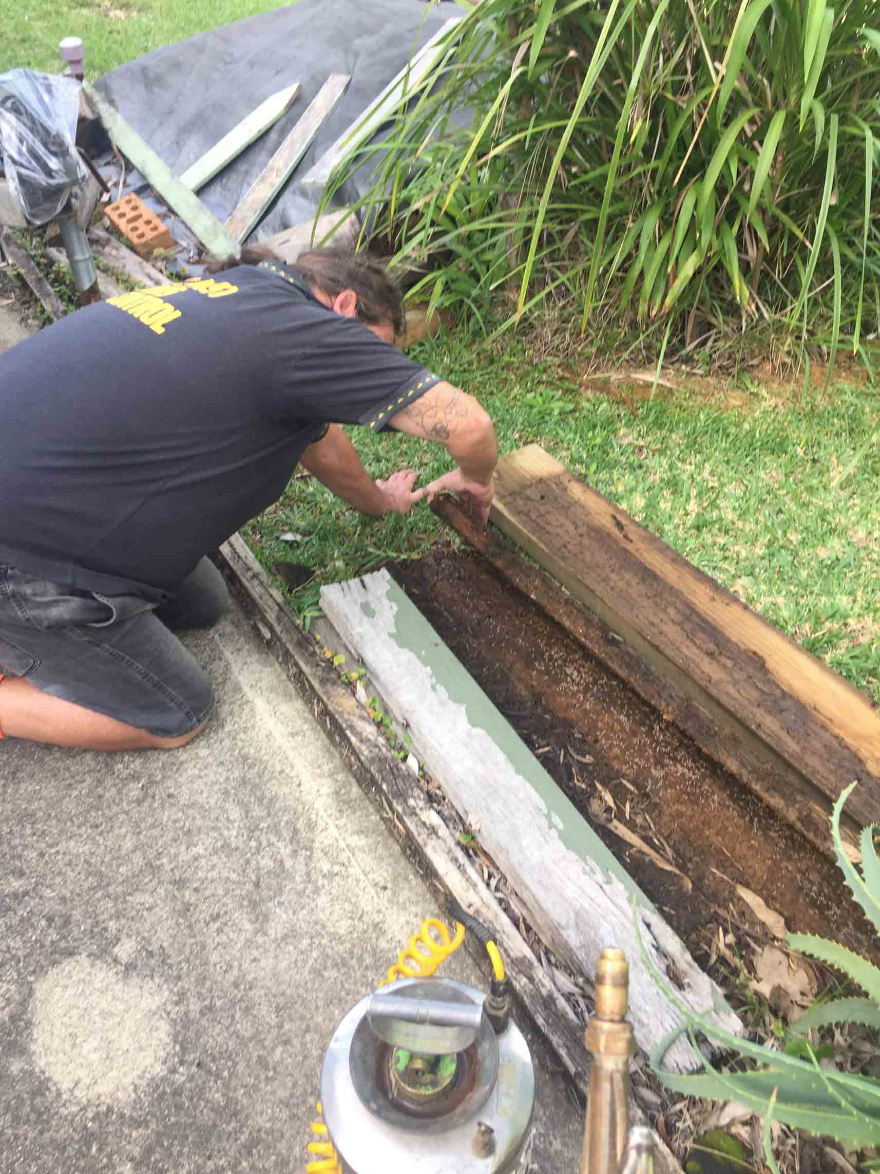 A Man Removing the Termites — Pest Control In Port Macquarie, NSW