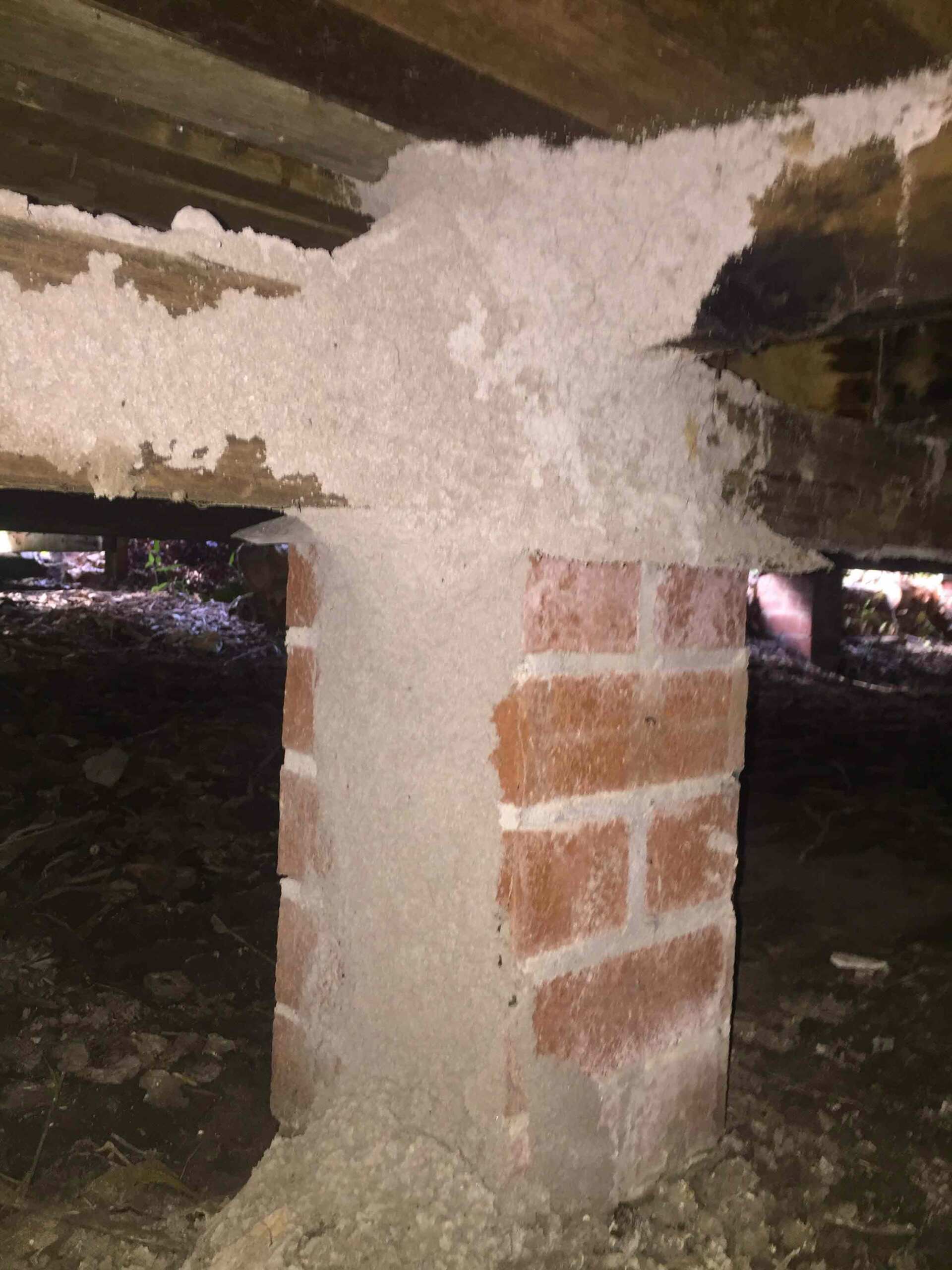 A Brick Wall Under the House — Pest Control In Port Macquarie, NSW