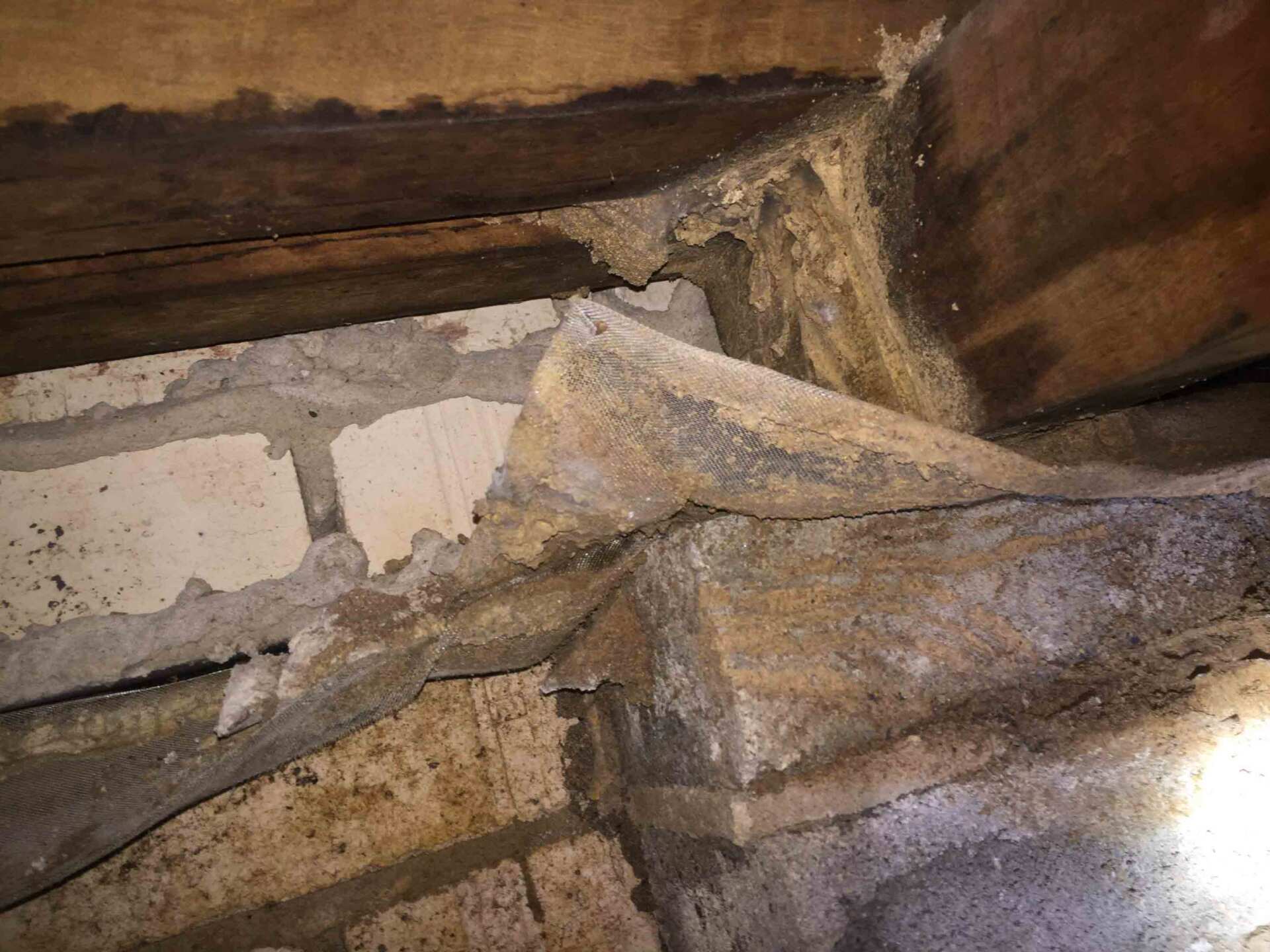 Termites Destroying Outside the Wood — Pest Control In Port Macquarie, NSW
