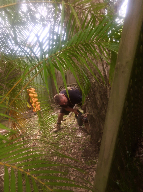 Pest Control — Mid North Coast Termite Inspections Pty Ltd in South West Rocks, NSW