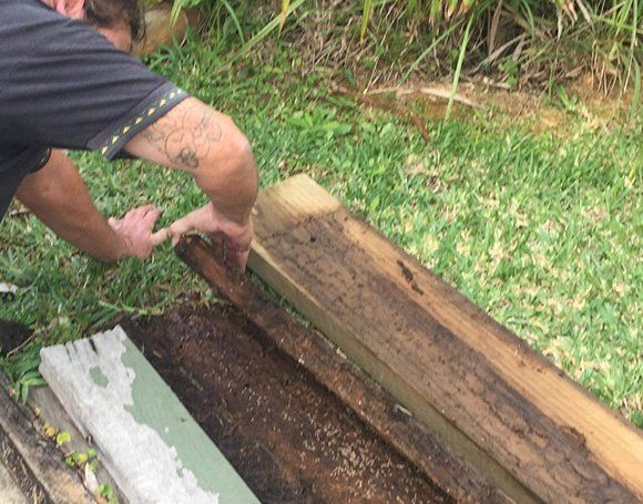 Termite Inspection — Mid North Coast Termite Inspections Pty Ltd in South West Rocks, NSW