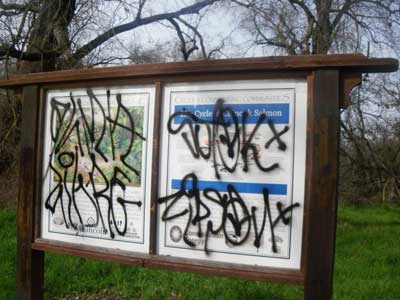 Steam Cleaning — Street Vandalism in Citrus Heights, CA Steam Cleaning — Street Vandalism in Citrus Heights, CA