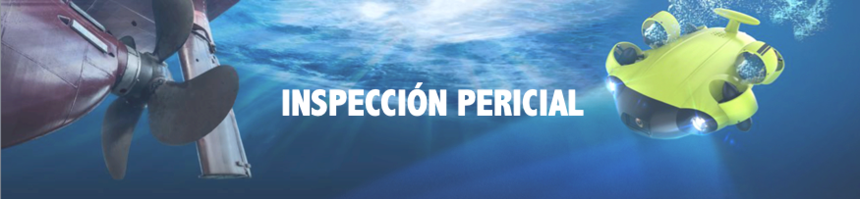 INSPECCIÓN PERICIAL CON ROV