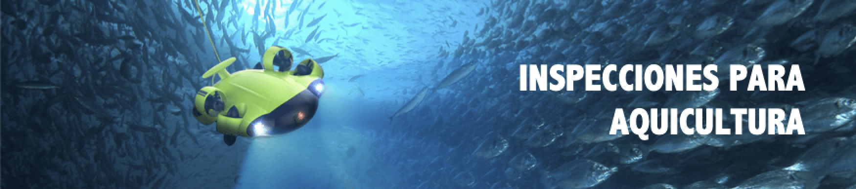 INSPECCIÓN ACUICULTURA CON ROV
