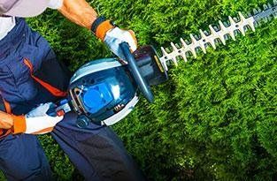 Servizi di giardinaggio