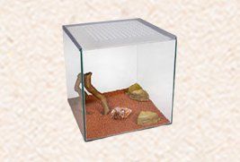 HERMIT CRAB KITS