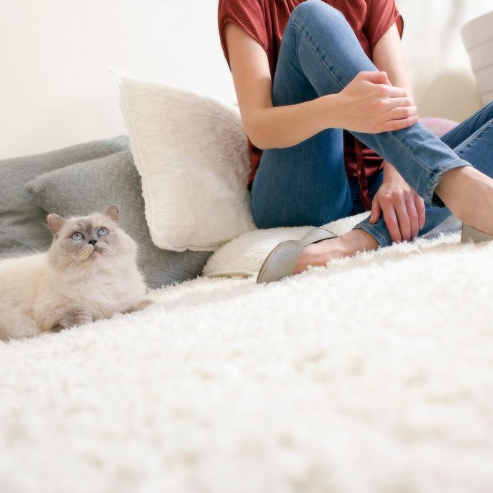 CARPET