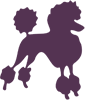 Pet Spa & Grooming