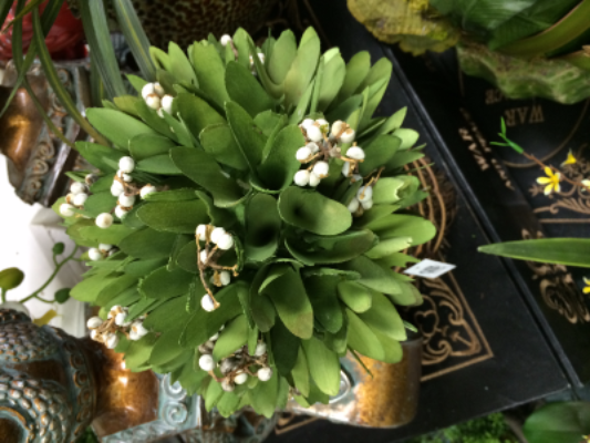 Dry Arrangement