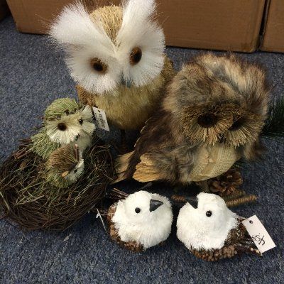Owls