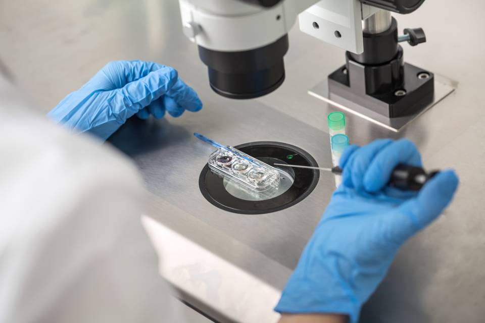 Analisi in laboratorio