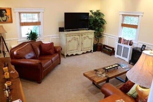 A cozy living room with a brown leather sofa, wooden coffee table, TV on a light green sideboard, and two windows.