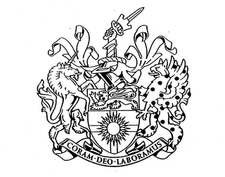 Diamond Restoration shield