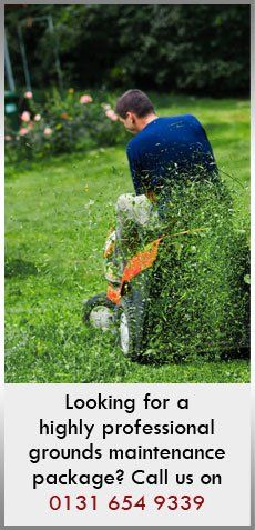 Grass Cutting