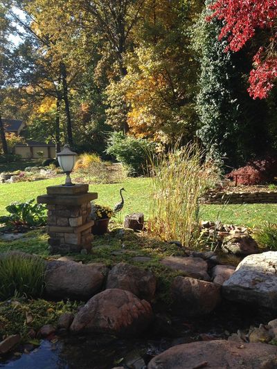 Lawn - Outdoor Living Spaces in O'Fallon, IL Lawn - Outdoor Living Spaces in O'Fallon, IL