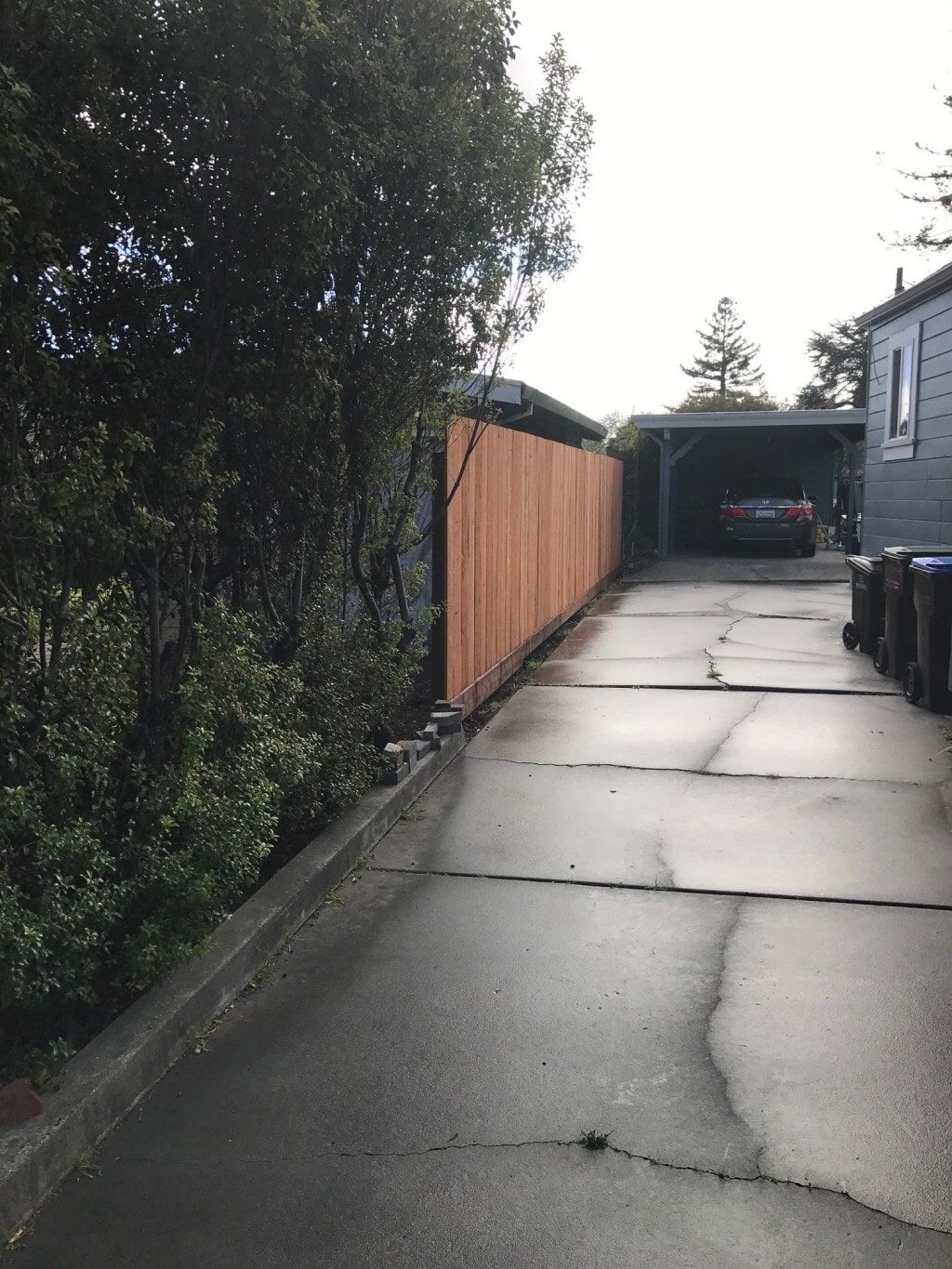 Fence 6