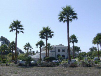 Tranquil Area in a Garden — Landscaping in Santa Cruz, CA Tranquil Area in a Garden — Landscaping in Santa Cruz, CA