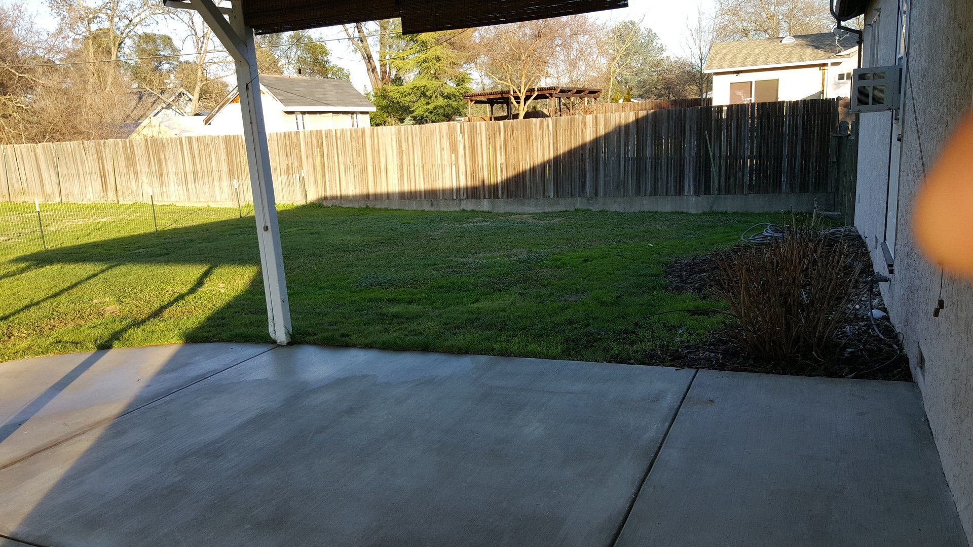 backyard