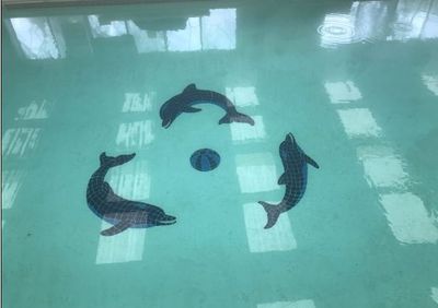 Brownsville Physical Therapy Heated Pool
