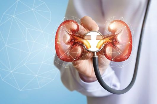 medico specializzato in malattie dell'apparato urogenitale