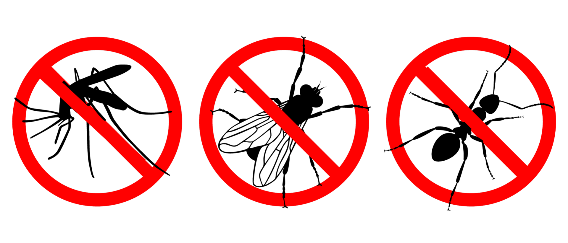 Exterminators — No Insects Signs in Hamilton, NJ Exterminators — No Insects Signs in Hamilton, NJ