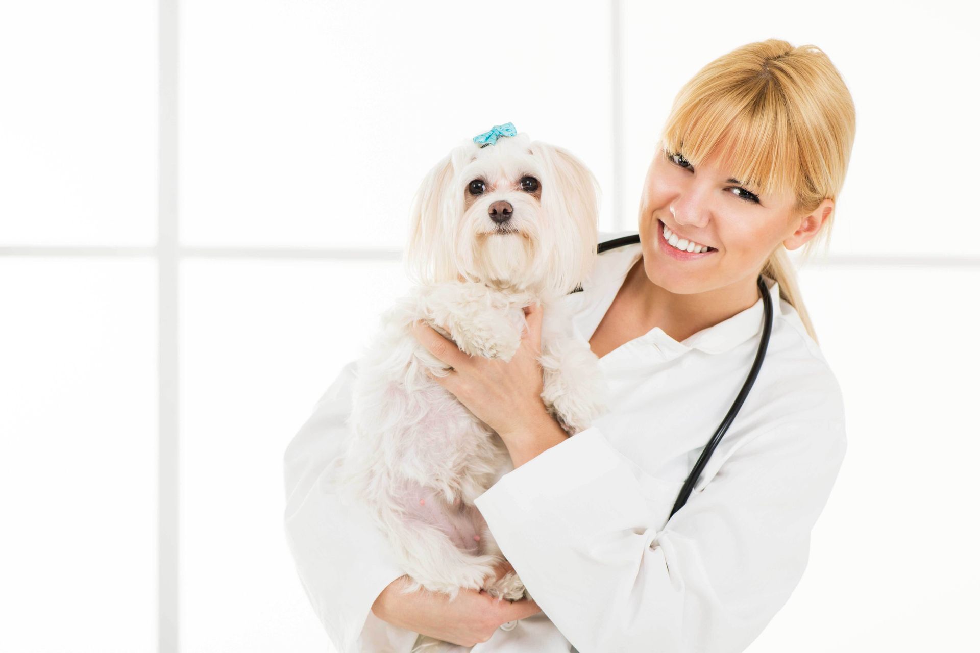 Vet with dog.