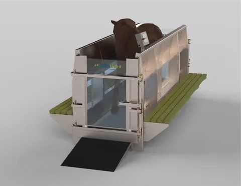 A model of a house with two horses in it.