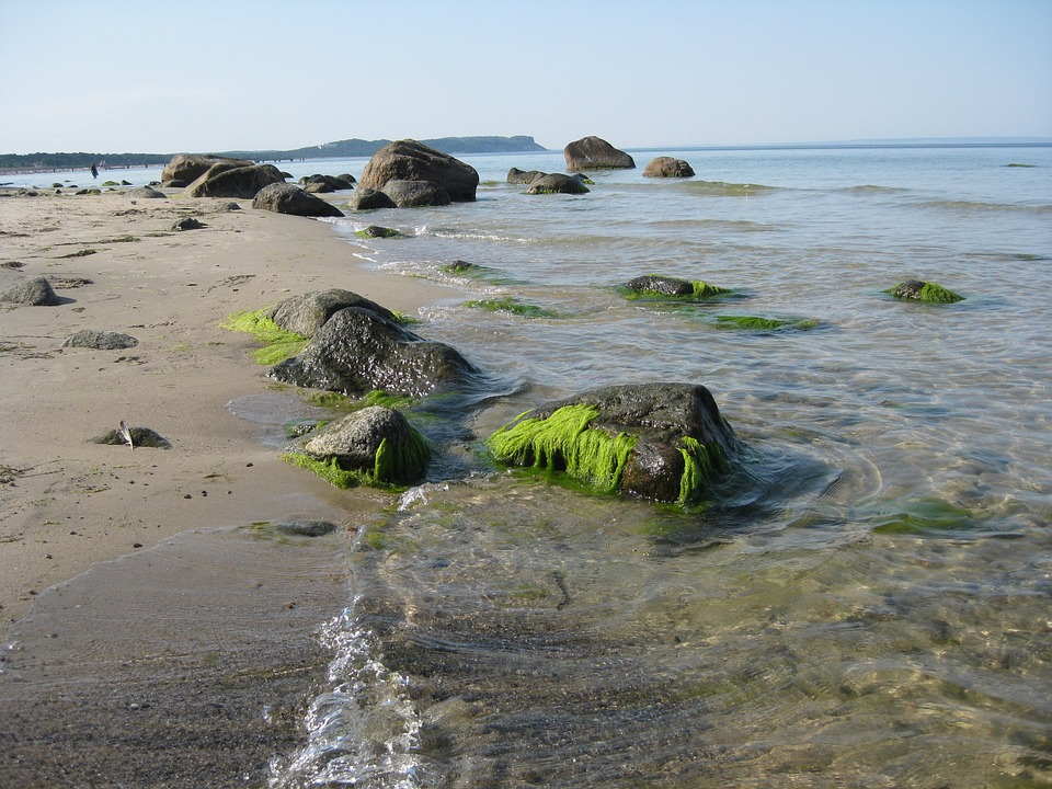 pixabay, lizenzfrei Ein Strand mit Felsen und Algen im Sand