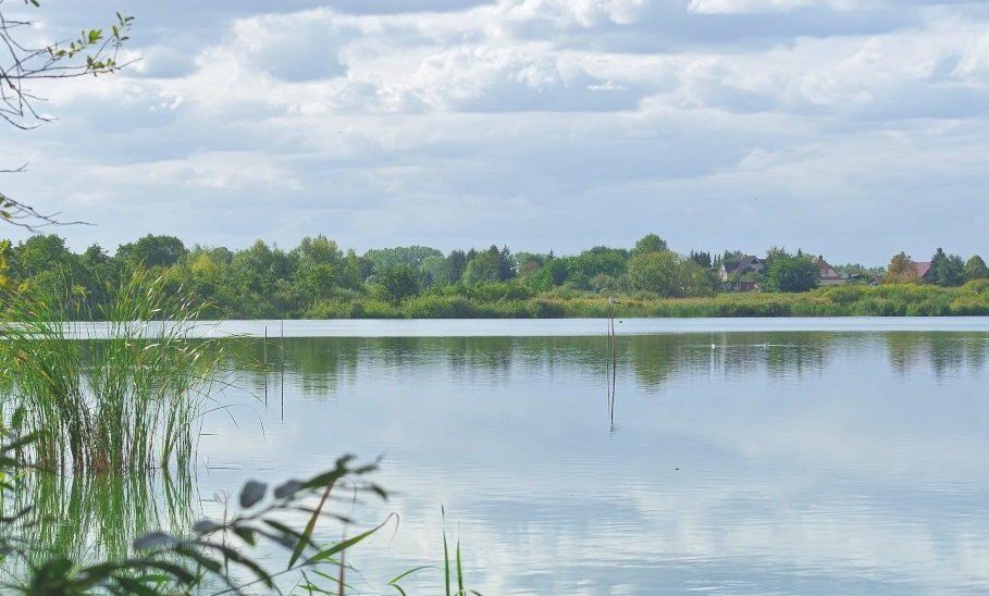 Aufnahme ist lizenzfrei Eine große Wassermasse, umgeben von Bäumen an einem bewölkten Tag.