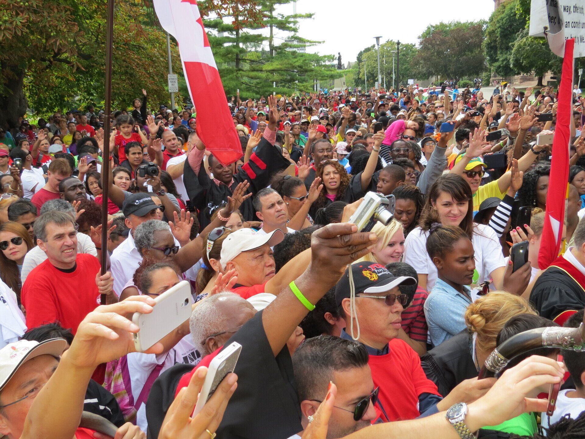 A crowd of people are gathered in a park taking pictures with their phones