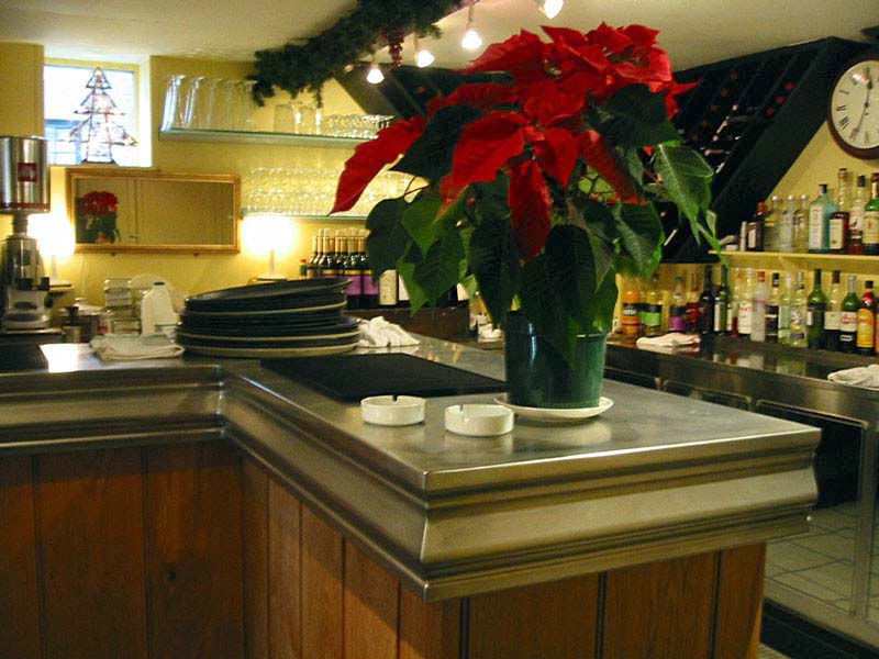 A poinsettia is sitting on a counter in a restaurant