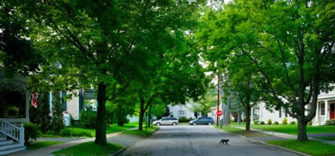greenfield street
