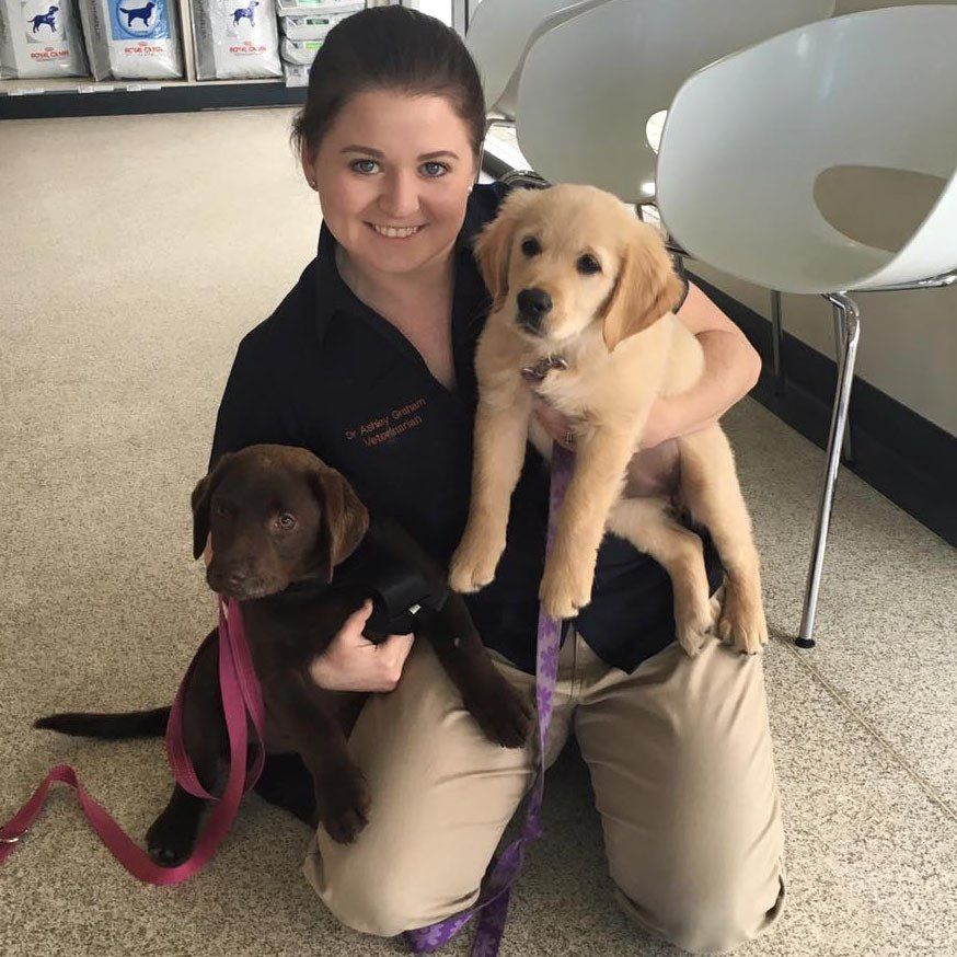 Victor Central Vet Clinic Gallery Image