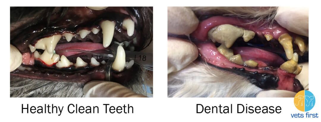 Clean And Dirty