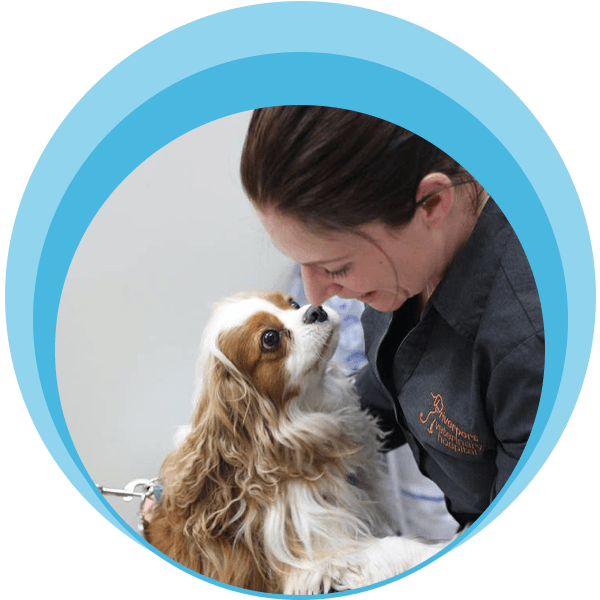 Free Puppy and Kitten Health Checks