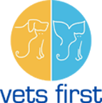 Victor Central logo