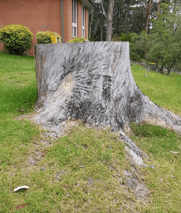 Dry Stump — Lawn Care in Umina Beach, NSW