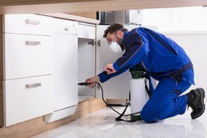 Pest Control — Worker Spraying Pesticide on Cabinet in Glenolden, PA Pest Control — Worker Spraying Pesticide on Cabinet in Glenolden, PA