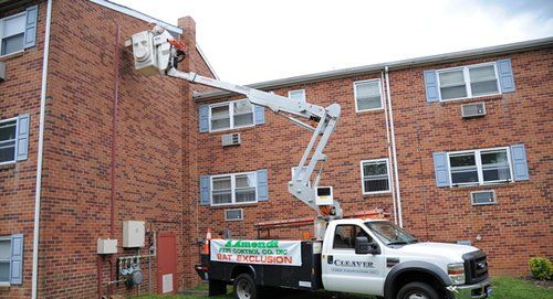 Bird Control — Company Truck Outside a Building in Glenolden, PA