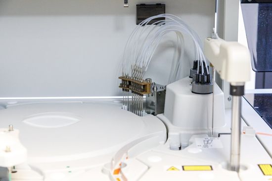 Interno laboratorio