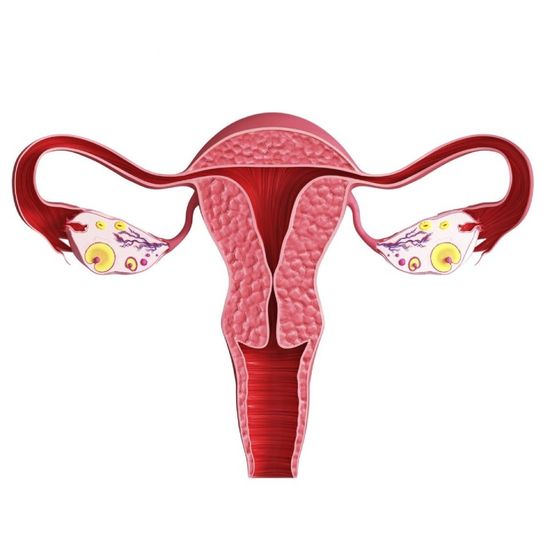 Pap test