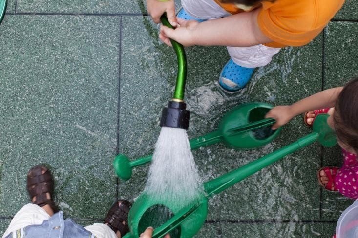 Watering the watering cans.