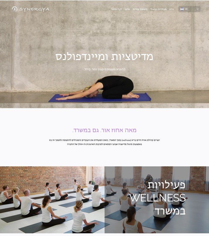 סינרגיה אתר